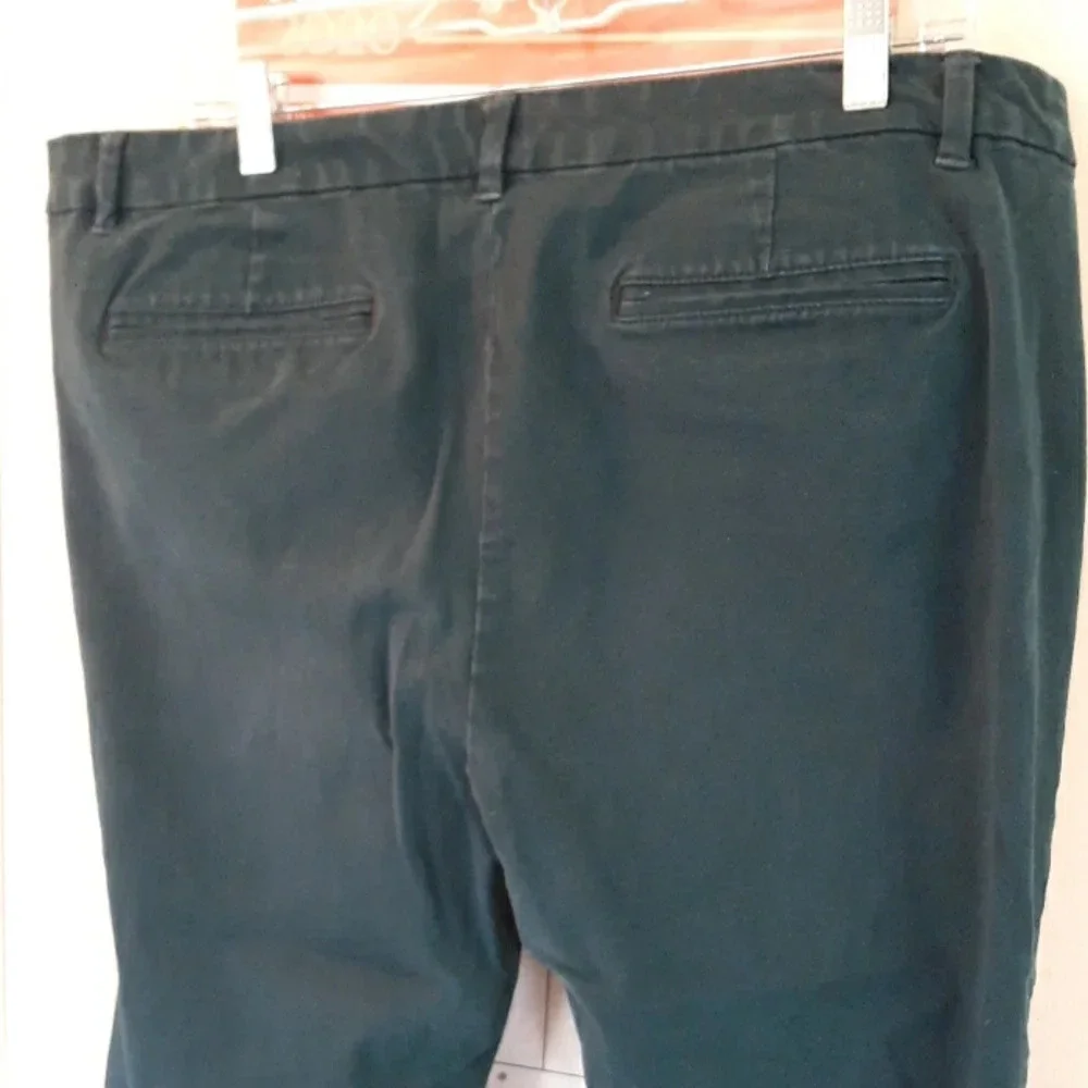 Liz Claiborne Emma Pretty Teal Pants In Size 18